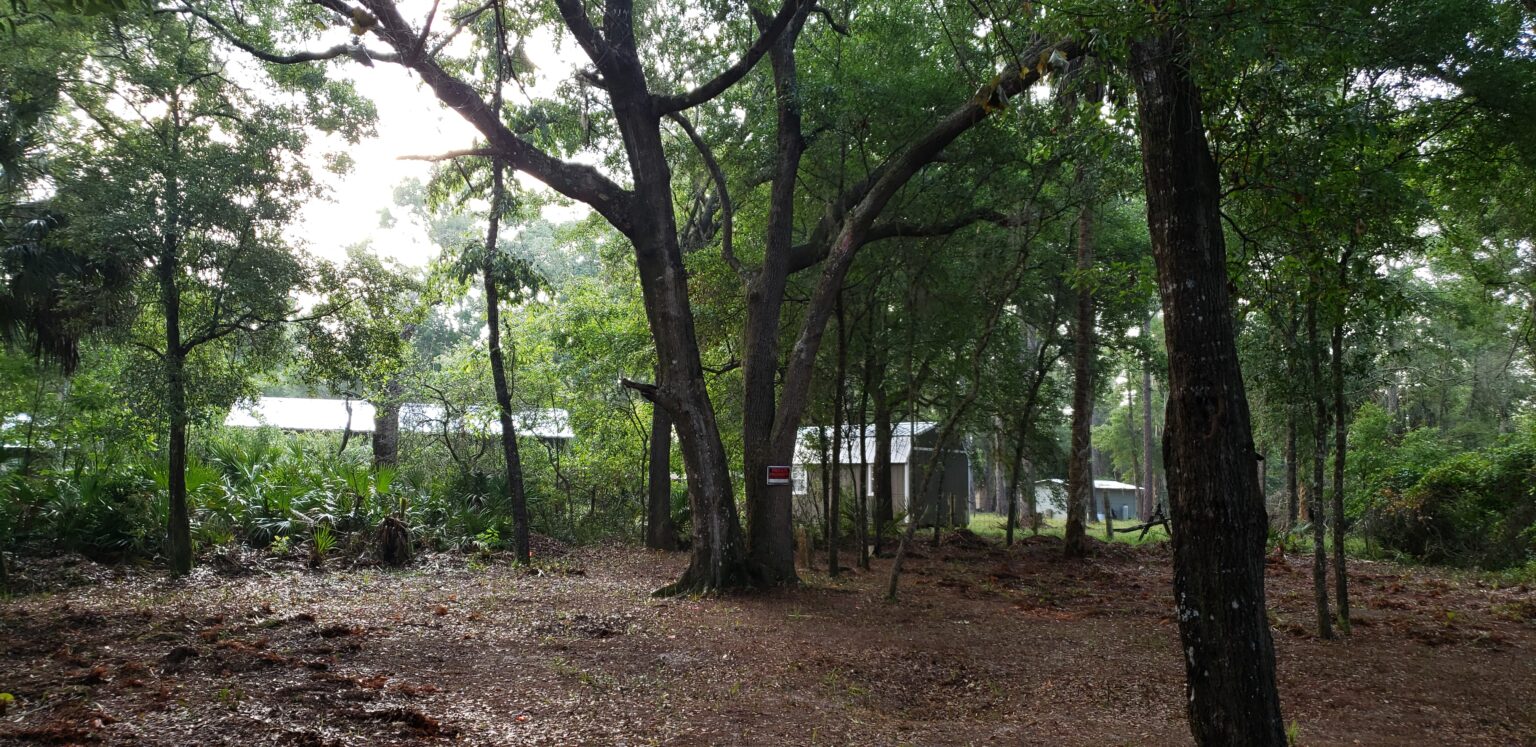 Rosewood Cemetery Records Rosewood Heritage & VR Project